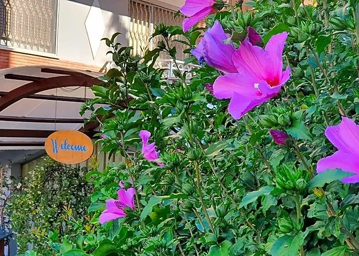 Letizia - Casa Per Ferie 3* רומא